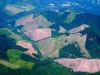 clatsop-clear-cut